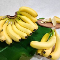 바나나1.5키로 인기 순위비교