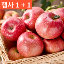 (행사 5kg 2박스) 1+1 경북 청송 영천 프리미엄 명품 특등품 선물용 햇 사과 부사 10키로, 정품 5kg 대(10-13과내외)-2박스