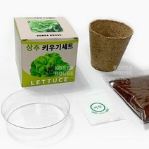 상추 키우기 세트 화분 집에서 베란다 텃밭 체험