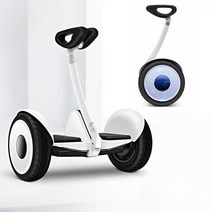 외발바퀴단일휠, 상세 페이지 참고, 흰색11인치+다리조절36V