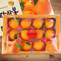 [이푸룸] [名品]한라봉 선물세트 3kg(11~14과), 상세 설명 참조