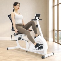 이고진 좌식 실내자전거 706R 화이트 온가족 헬스자전거, WB 화이트 베이지