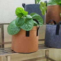 부직포 화분 베란다 텃밭 대파 키우기 10갤런 40x30 집에서대파키우기 블루베리 블루베리화분 텃밭가꾸기 옥상텃밭 베란다텃밭화분 베란다텃밭 플랜, 3화분10갤런-브라운