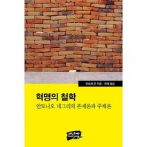 혁명의 철학 안토니오네그리 - 히로세 준, 단품, 단품