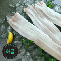 [청아씨푸드] 국내 자연산 손질바다장어 하급 1kg, 1팩, 무두/사이즈-중/실중량1kg/7-10미