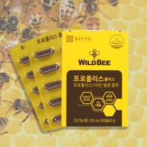 [종근당] 와일드 비 프로폴리스 플러스 2개월분