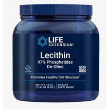Life Extension 레시틴 가루 파우더 타입 454g