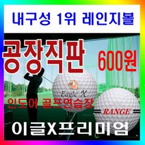 이글엑스 레인지볼 400알 내구성최강 스크린골프 마킹볼 골프공 제조공장
