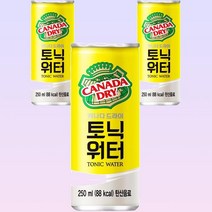 키워도 하이볼 캐나다 드라이 토닉워터 250ml 30입 250ml 혼술 업소용 회사 간식 1개 2개 3개 4개 5개 6개 7개 8개 9개 10개, 3세트
