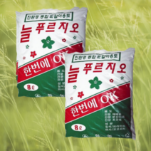 16L 몬스테라 아라우카리아 녹보수 크루시아 분갈이, 21.난석 종합 1Lx2개