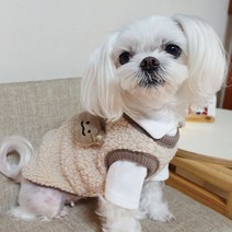 도도그 뽀글곰 강아지조끼, 브라운