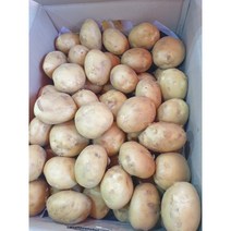 2022년 수확 국내산 햇 수미 감자 왕특, 수미감자 왕특 사이즈 5kg