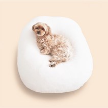 플랫101 강아지 모찌 빈백 고양이 방석 쿠션 말랑 쫀득, 에토프