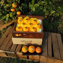 제주의맛 천혜향 3kg(9~12수 대과선물용 이중포장)그윽한 향과 팡팡 터지는 과즙 품격있는 설과일선물세트