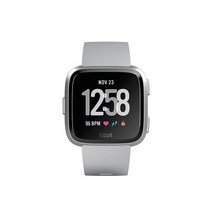Fitbit Versa 스마트 워치 그레이/실버 알루미늄 원 사이즈 (S & L 밴드 포함)