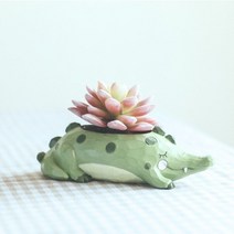ROOGO 루고 다육이 미니화분 조각조각 초록 악어 (다육식물 불포함)
