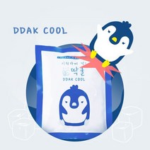 딱쿨 터트리는 아이스 쿨팩 미니 휴대용 아이스팩 5개입, 5개