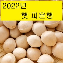 2022년 햇은행 박경철 농장 피은행 (특대/대/중) 1kg, 피은행/중 1KG, 1개, 1개