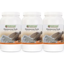 헬스리드 Health Leads UK Diatomaceous Earth 영국 고흡수 규조토 이산화규소 분말 파우더 500g 3병, x, 1개