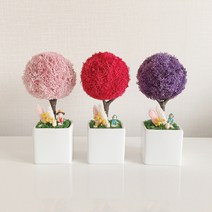 천연 이끼 키우기 그늘에서 잘 자라는 관리쉬운 공기청정 집에서 키우기 쉬운 음지 식물, 레몬