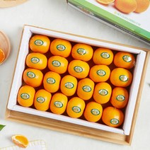 고당도 제주 불로초 감귤 3kg 로얄과 선물 세트 보자기포함, 상세페이지 참조, 상세페이지 참조