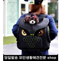 개린이 강아지여행 애견동반택시 펫외출가방 강아지백팩 펫픽업가방, L(FD01-LWO)