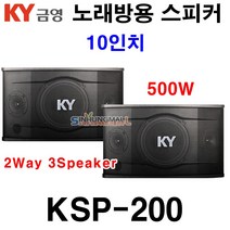 SWANY 스와니폰 SMS-100 20W 강의용 무선 마이크(정품), 블루