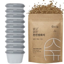 온다숲 반영구 천연 제습제 맑고맑은 정화석 작은알갱이, 제습제통 10개, 작은알갱이1kg