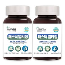 하비웰 매스틱 멀티정 600mg X 60정, 2통