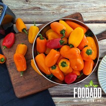 알록달록 푸드에드 미니파프리카 국내산(500g)