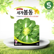 솔림텃밭몰 봄동배추씨앗 20g 세계봄동배추씨앗 봄동 월동재배, 단품