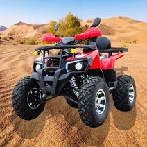 비브레 사륜 바이크 오프로드 산악 ATV 오토바이 트럭, 블랙 200cc