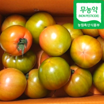 [싱싱다모아] 무농약 대저 토마토 산지직송 찰토마토 2.5kg 5kg, 찰토마토 중과(M) 2.5kg, 1개