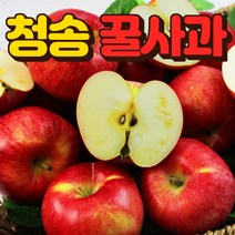 새콤달콤 맛있는 햇 부사 사과 꿀사과, 청송 사과 3kg(13-15과내외)