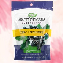 네이처스웨이 엘더베리 삼부커스 아스코르브산 아연 민트 맛 사탕 24개입, 민트 맛 사탕 24개입 1개