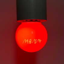 삼호기전 LED 인지구 2w 컬러 색깔 전구 줄조명 파티라이트 캠핑 램프, 1개, 빨간색 / 적색