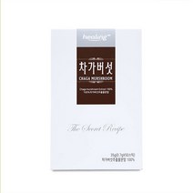 힐링 차가버섯 추출물 분말 자작나무 베타글루칸 식이섬유 가루 스틱, 0.7g, 50스틱