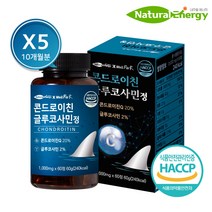 웰핏 콘드로이친 글루코사민정, 60정 x 5개