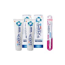 슈미텍트 컴플리트 원EX[의약부외품]치약 인지 과민 케어 고농도 불소 배합1450ppm 2개 + 치주 케어 칫솔 [유익 세트] 2개 + 칫솔