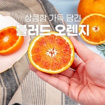 제주 블러드 오렌지 10kg 5kg 고당도 타로코, 블러드오렌지 10kg