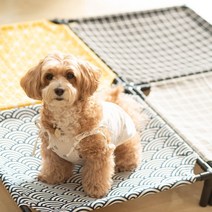 강아지 침대 고양이 해먹 애견 쿠션 방석, 소형S, 블랙