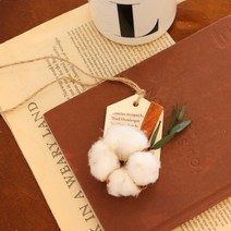 시나몬 목화 석고 타블렛 방향제 만들기 DIY 키트(2개완성), 선택함, 헤스페리데스(자몽)