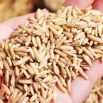 푸르젠 [오늘출발] [국내산] 정읍 건강귀리 1kg, 01번 건강귀리 1kg