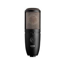 AKG P420 에이케이지 P420 레코딩 보컬 악기용 콘덴서마이크 AKG 공식판매점