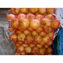 우주농원 2022년 햇양파 5kg 10kg, 1박스