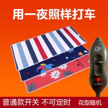 비가토 자동차용 전기담요 당일 더블 12볼트 24볼트 전기 매트리스 구매전 판매자 비가토 확인요망합니다. 영어로된 판매자 중국업체입니다., 24V-Normal 길이 150cm x폭 50cm