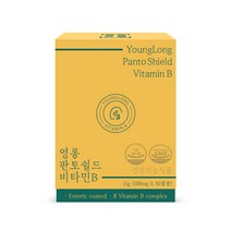 영롱 판토쉴드 비타민B, 단품, 30캡슐