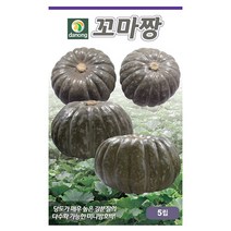 꼬마짱미니단호박씨앗 100립, 없음