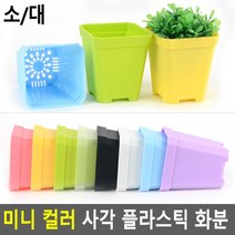 미니 컬러 사각 플라스틱 화분, 색상/사이즈-대-투명