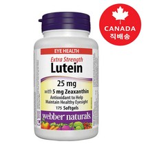 Webber Naturals 웨버네추럴스 루테인 25mg with 5mg Zeaxanthin 175정-1병(시력보호>안구 눈건강>캐나다 직배송), 1병, 146g” class=”wr-img”></a></div>
</div>
</div>
</div>
<div class=